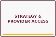 03 strategy provider access