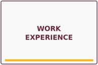 08 work experience